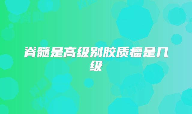 脊髓是高级别胶质瘤是几级
