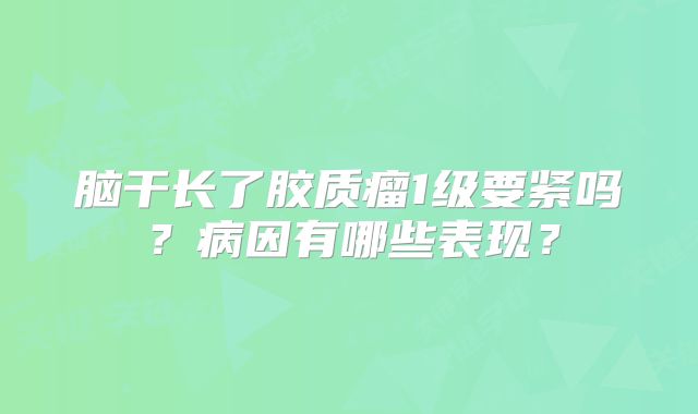 脑干长了胶质瘤1级要紧吗？病因有哪些表现？