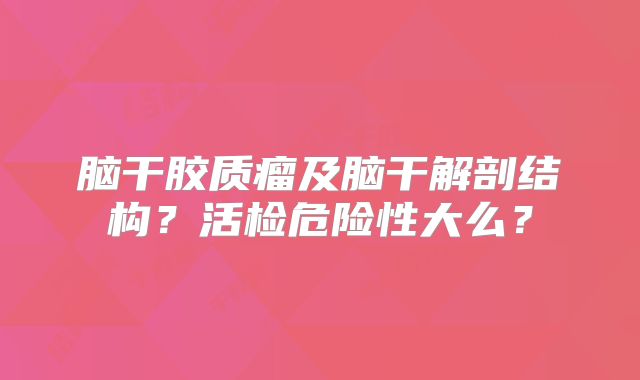 脑干胶质瘤及脑干解剖结构？活检危险性大么？