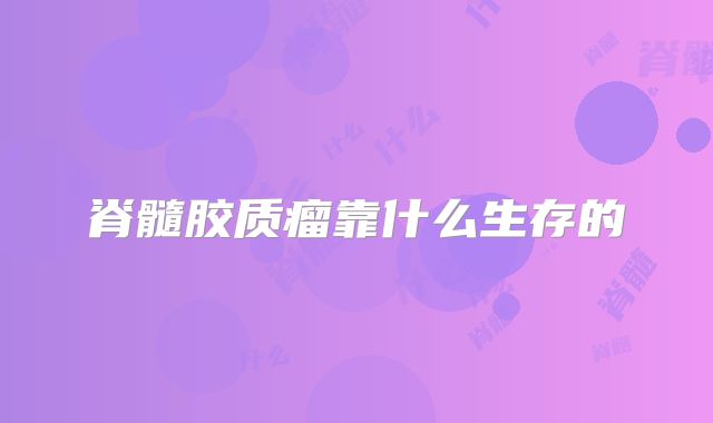 脊髓胶质瘤靠什么生存的