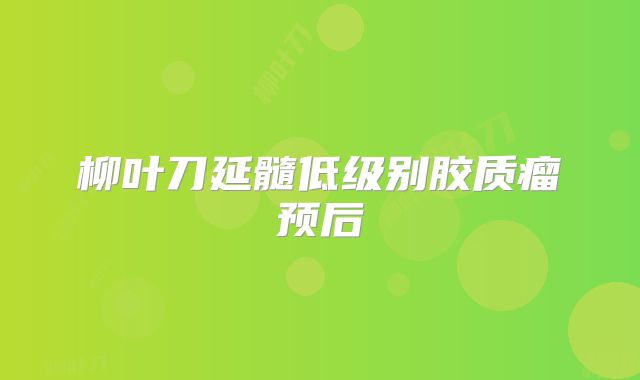 柳叶刀延髓低级别胶质瘤预后
