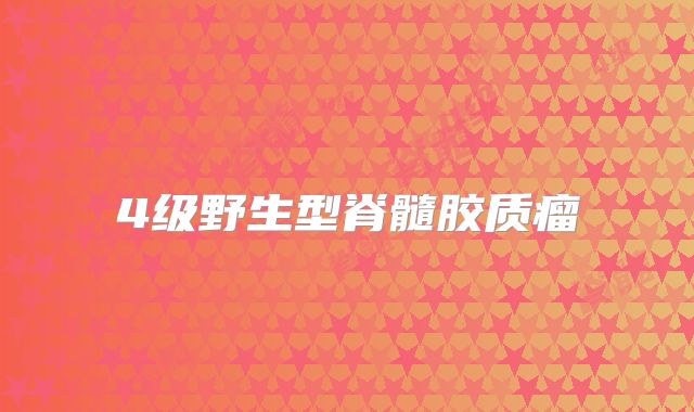 4级野生型脊髓胶质瘤
