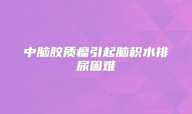 中脑胶质瘤引起脑积水排尿困难