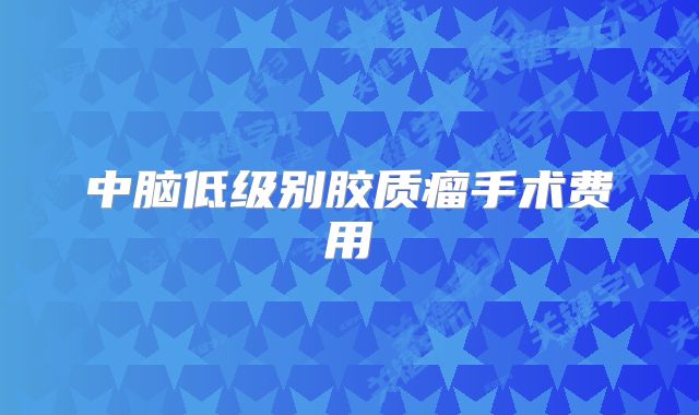 中脑低级别胶质瘤手术费用