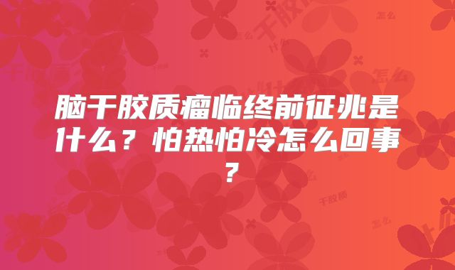 脑干胶质瘤临终前征兆是什么？怕热怕冷怎么回事？