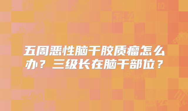五周恶性脑干胶质瘤怎么办？三级长在脑干部位？