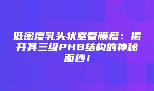 低密度乳头状室管膜瘤：揭开其三级PHB结构的神秘面纱！