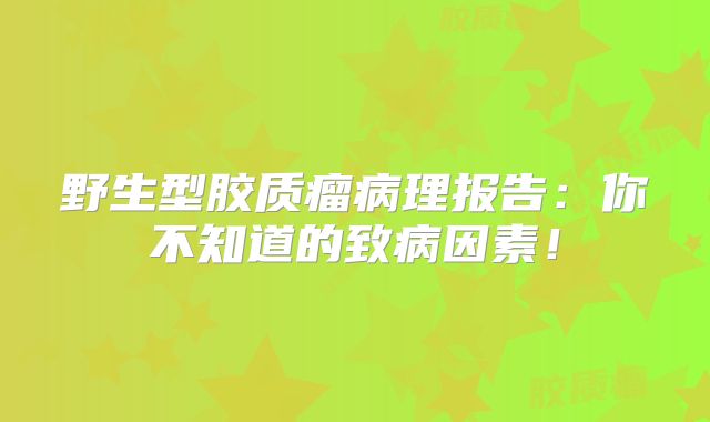 野生型胶质瘤病理报告：你不知道的致病因素！