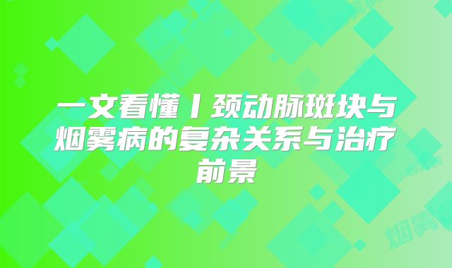 一文看懂丨颈动脉斑块与烟雾病的复杂关系与治疗前景