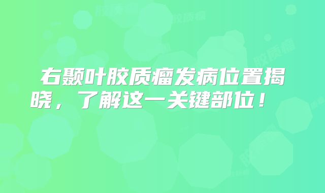 右颞叶胶质瘤发病位置揭晓，了解这一关键部位！  