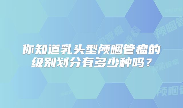 你知道乳头型颅咽管瘤的级别划分有多少种吗？