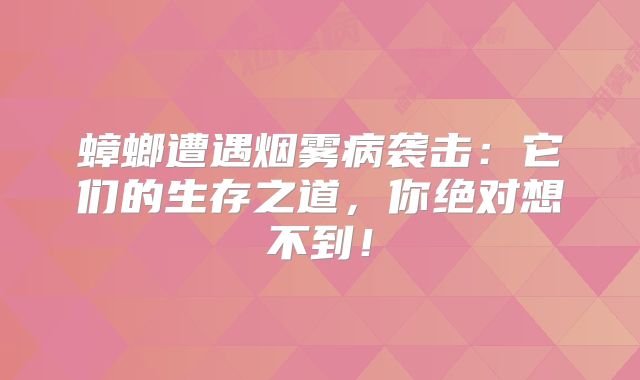 蟑螂遭遇烟雾病袭击：它们的生存之道，你绝对想不到！