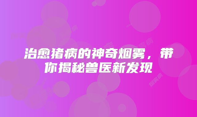 治愈猪病的神奇烟雾，带你揭秘兽医新发现