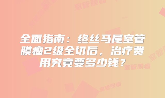 全面指南：终丝马尾室管膜瘤2级全切后，治疗费用究竟要多少钱？