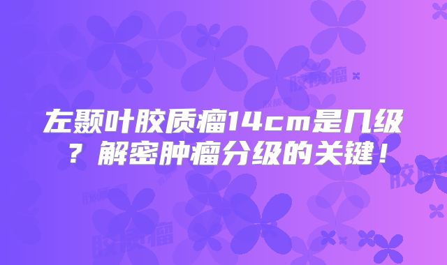 左颞叶胶质瘤14cm是几级？解密肿瘤分级的关键！