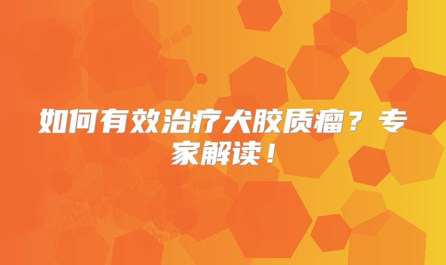如何有效治疗犬胶质瘤？专家解读！