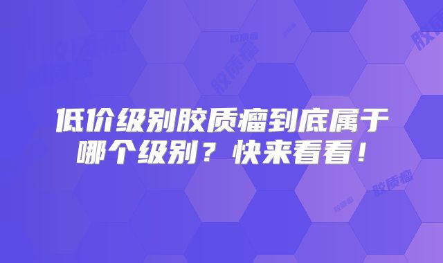 低价级别胶质瘤到底属于哪个级别？快来看看！