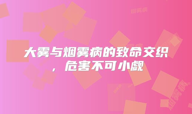大雾与烟雾病的致命交织，危害不可小觑