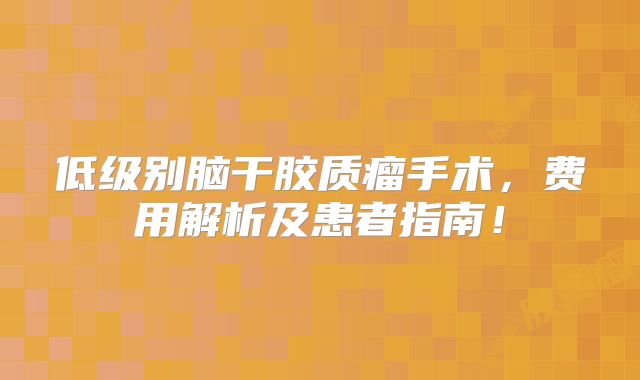 低级别脑干胶质瘤手术，费用解析及患者指南！