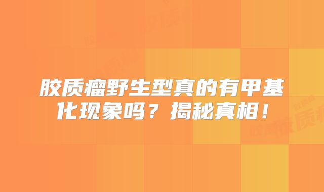 胶质瘤野生型真的有甲基化现象吗？揭秘真相！