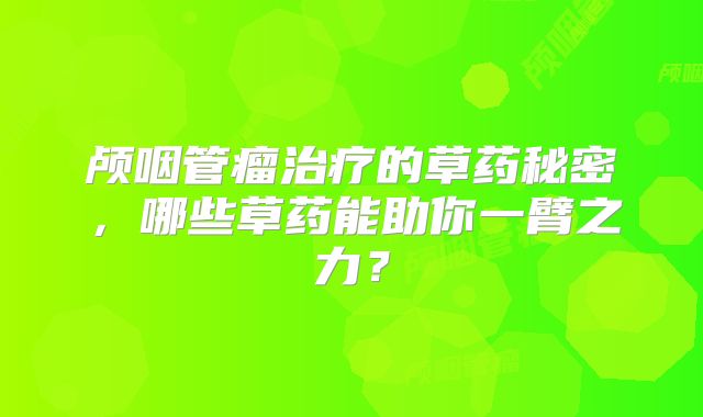 颅咽管瘤治疗的草药秘密，哪些草药能助你一臂之力？