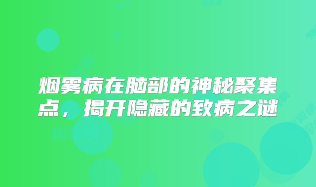 烟雾病在脑部的神秘聚集点，揭开隐藏的致病之谜