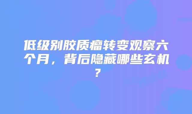 低级别胶质瘤转变观察六个月，背后隐藏哪些玄机？