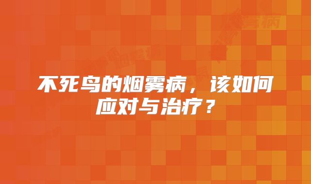 不死鸟的烟雾病，该如何应对与治疗？