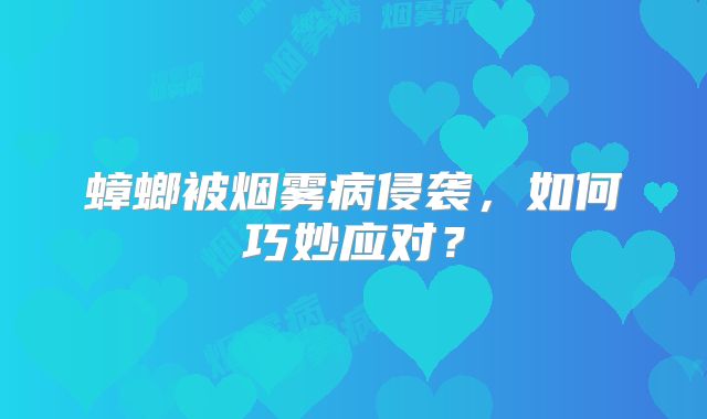 蟑螂被烟雾病侵袭，如何巧妙应对？