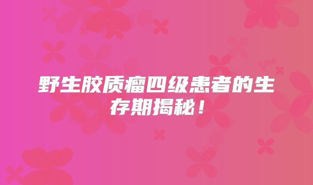 野生胶质瘤四级患者的生存期揭秘！