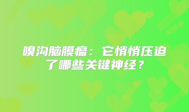 嗅沟脑膜瘤：它悄悄压迫了哪些关键神经？