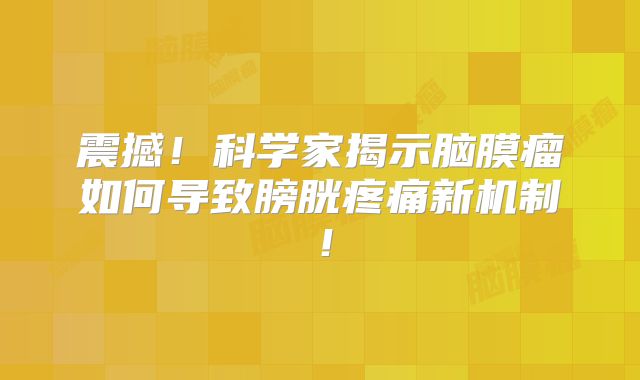 震撼！科学家揭示脑膜瘤如何导致膀胱疼痛新机制！