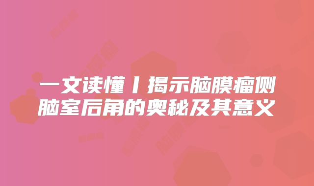 一文读懂丨揭示脑膜瘤侧脑室后角的奥秘及其意义