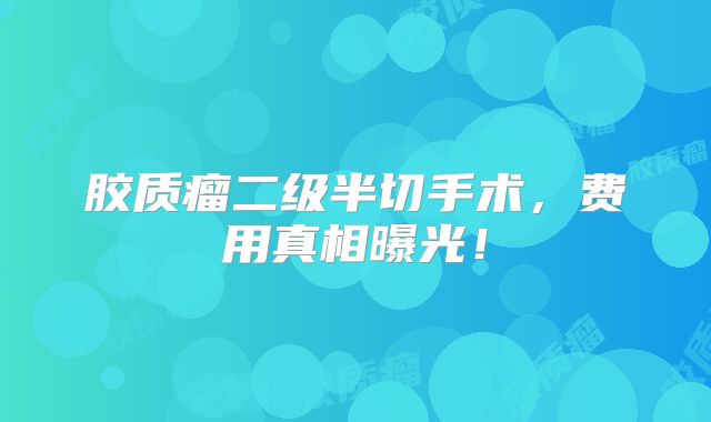 胶质瘤二级半切手术，费用真相曝光！