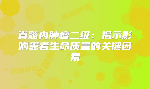 脊髓内肿瘤二级：揭示影响患者生命质量的关键因素