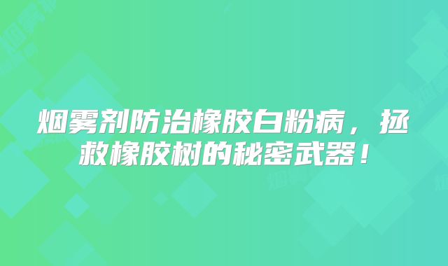 烟雾剂防治橡胶白粉病，拯救橡胶树的秘密武器！