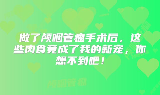做了颅咽管瘤手术后，这些肉食竟成了我的新宠，你想不到吧！