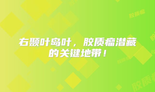 右颞叶岛叶，胶质瘤潜藏的关键地带！