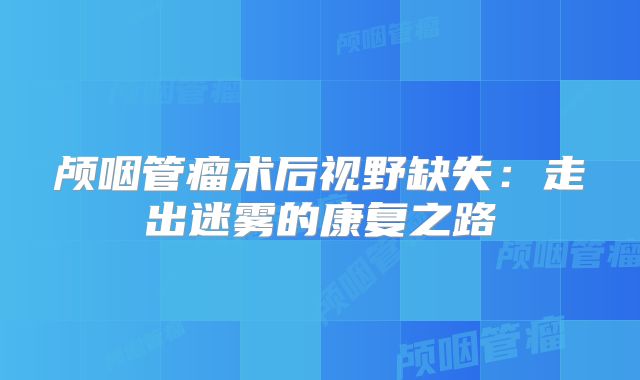 颅咽管瘤术后视野缺失：走出迷雾的康复之路