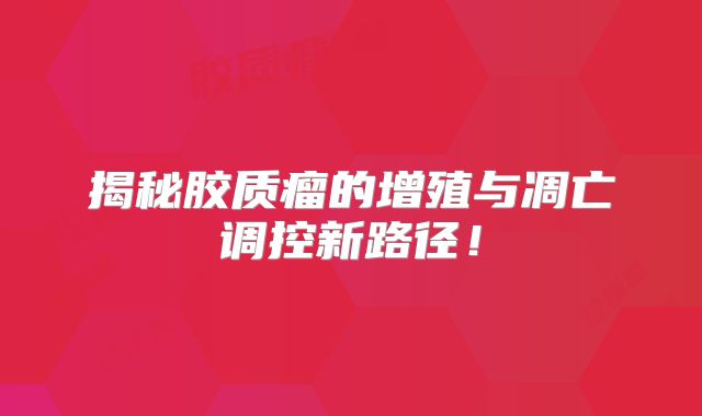 揭秘胶质瘤的增殖与凋亡调控新路径！