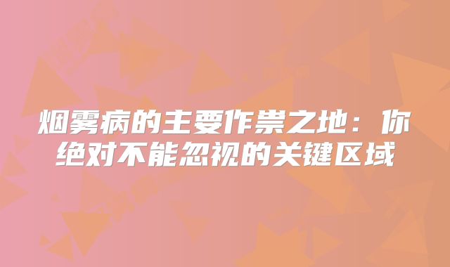 烟雾病的主要作祟之地：你绝对不能忽视的关键区域