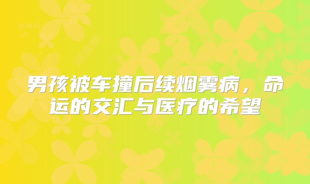 男孩被车撞后续烟雾病，命运的交汇与医疗的希望