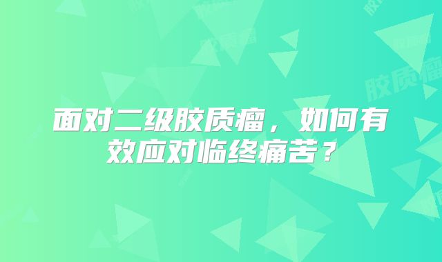 面对二级胶质瘤，如何有效应对临终痛苦？