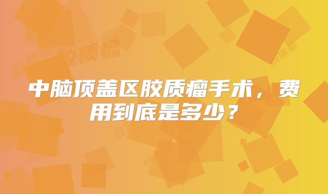 中脑顶盖区胶质瘤手术，费用到底是多少？
