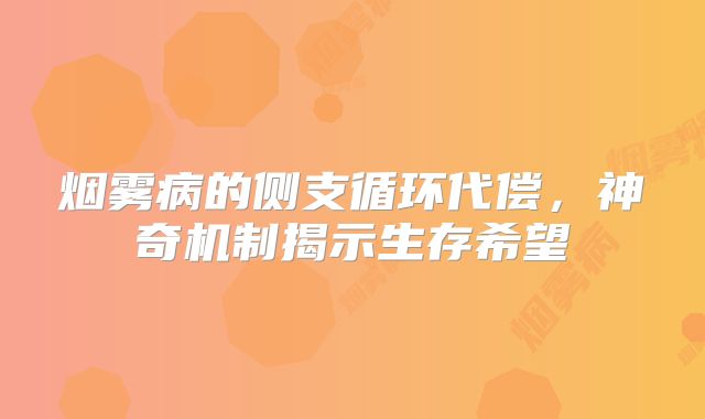 烟雾病的侧支循环代偿，神奇机制揭示生存希望