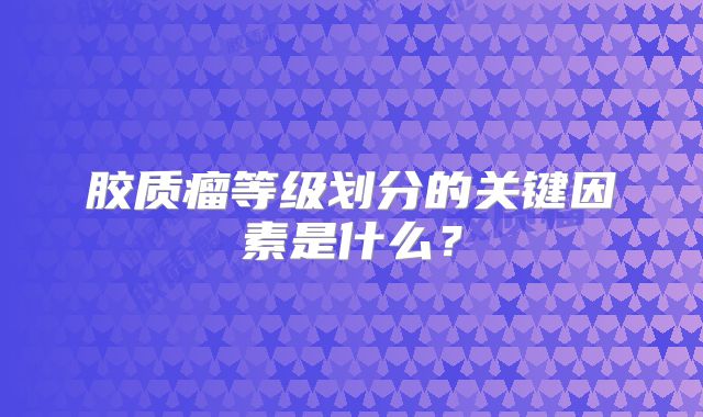 胶质瘤等级划分的关键因素是什么？