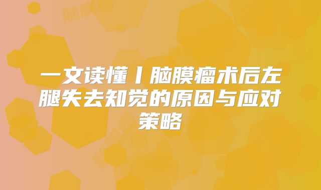 一文读懂丨脑膜瘤术后左腿失去知觉的原因与应对策略
