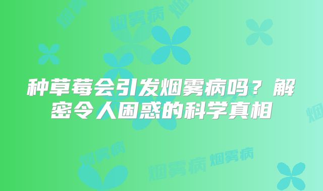 种草莓会引发烟雾病吗？解密令人困惑的科学真相