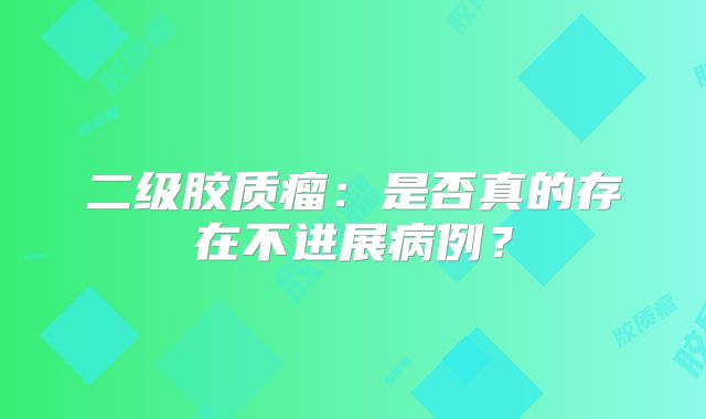 二级胶质瘤：是否真的存在不进展病例？