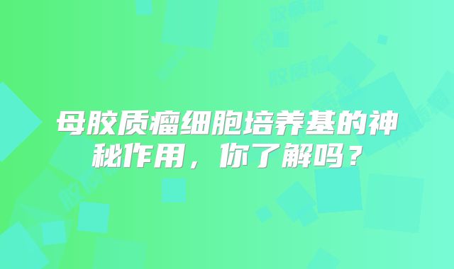 母胶质瘤细胞培养基的神秘作用，你了解吗？